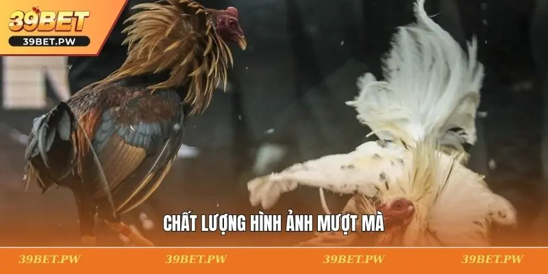 Chất lượng hình ảnh mượt mà