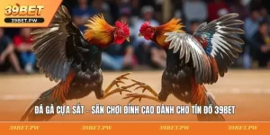 Đá Gà Cựa Sắt - Sân Chơi Đỉnh Cao Dành Cho Tín Đồ 39BET Đá Gà Cựa Sắt - Sân Chơi Đỉnh Cao Dành Cho Tín Đồ 39BET