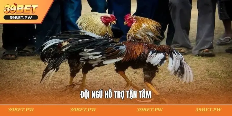 Đội ngũ hỗ trợ tận tâm