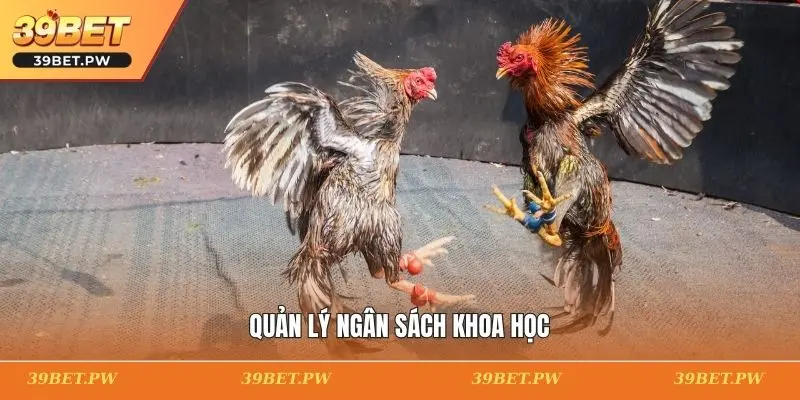 Quản lý ngân sách khoa học