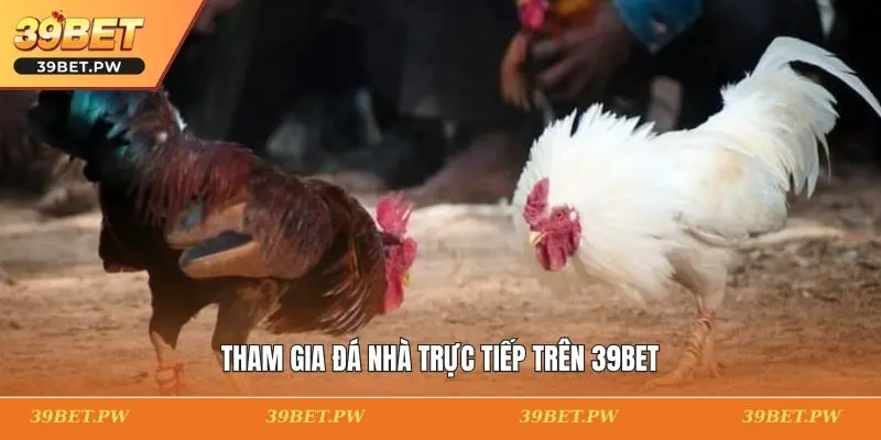 Tham gia đá nhà trực tiếp trên 39BET