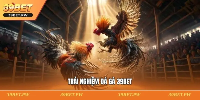Trải nghiệm đá gà 39BET